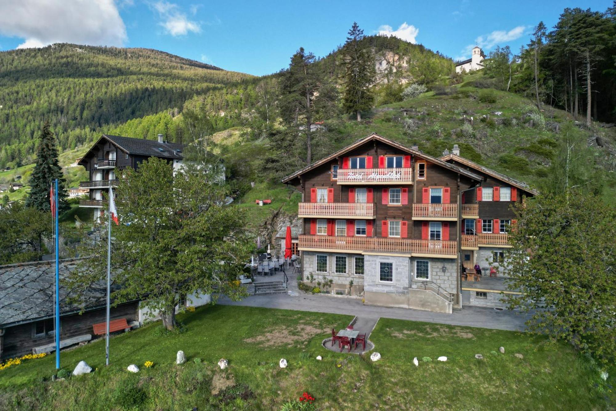 Hotel Alpenblick Zeneggen Eksteriør bilde