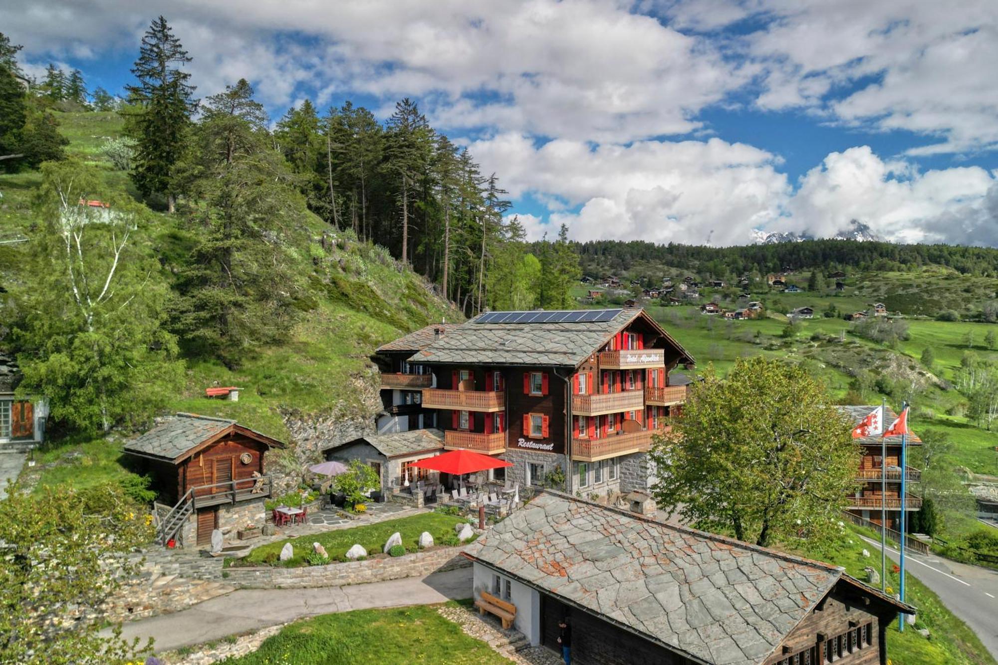 Hotel Alpenblick Zeneggen Eksteriør bilde