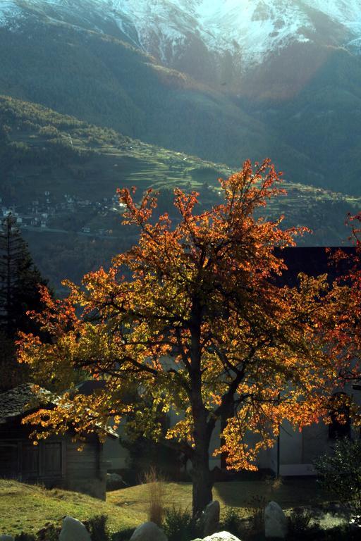 Hotel Alpenblick Zeneggen Eksteriør bilde