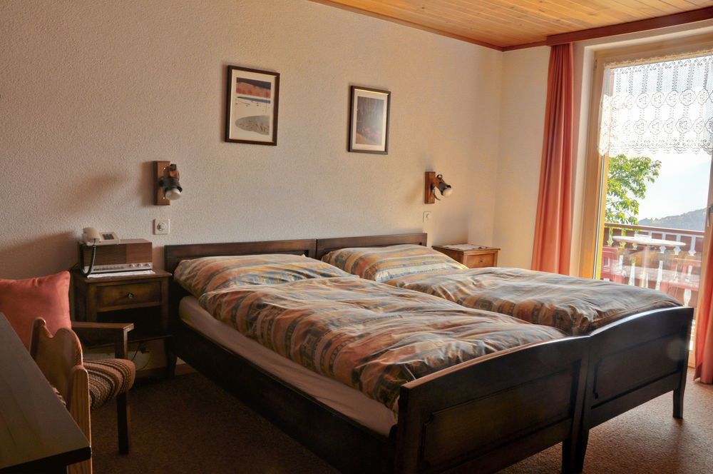 Hotel Alpenblick Zeneggen Eksteriør bilde