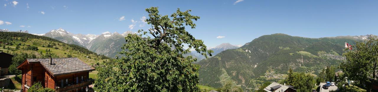 Hotel Alpenblick Zeneggen Eksteriør bilde