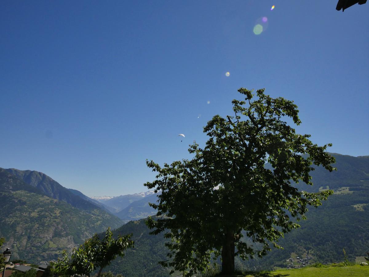 Hotel Alpenblick Zeneggen Eksteriør bilde