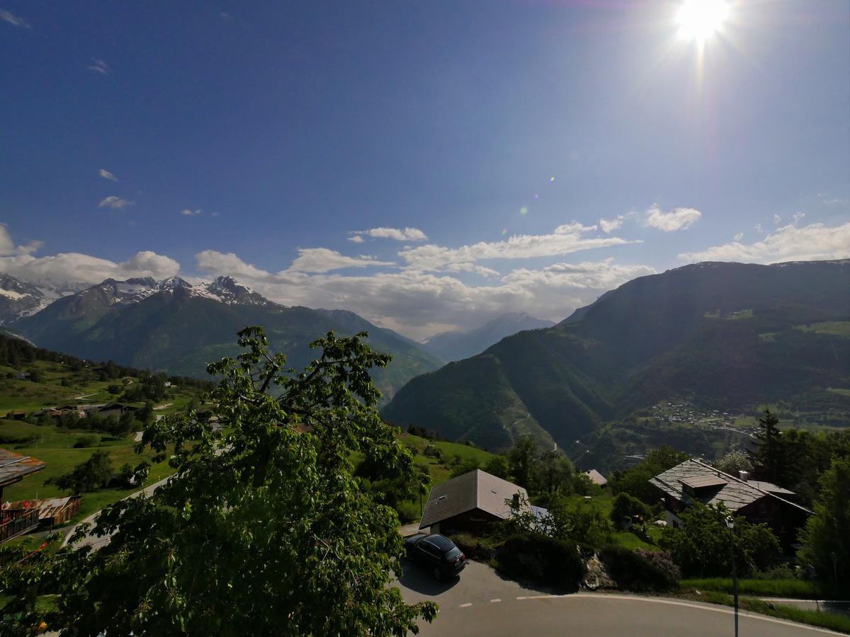 Hotel Alpenblick Zeneggen Eksteriør bilde